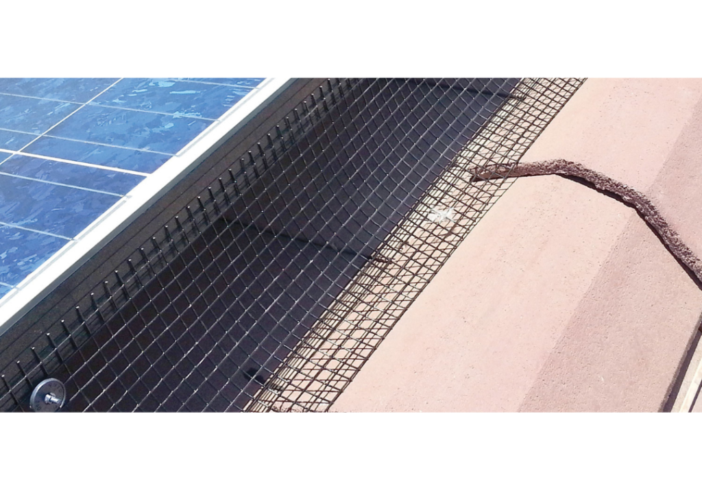 Pidgeon Guard for solar panels